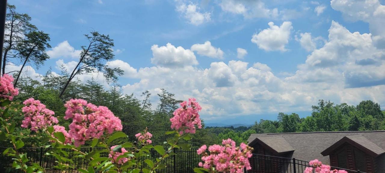 The Bear Paw Palace Mtn View And Community Pools Pigeon Forge Exterior photo