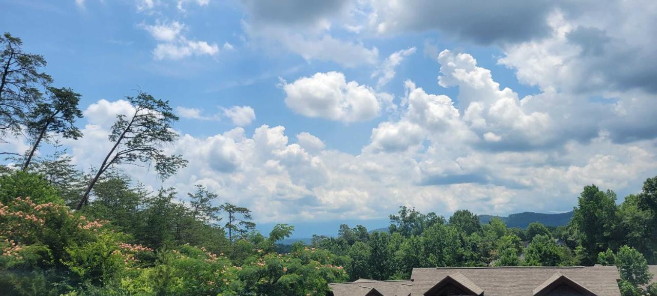 The Bear Paw Palace Mtn View And Community Pools Pigeon Forge Exterior photo